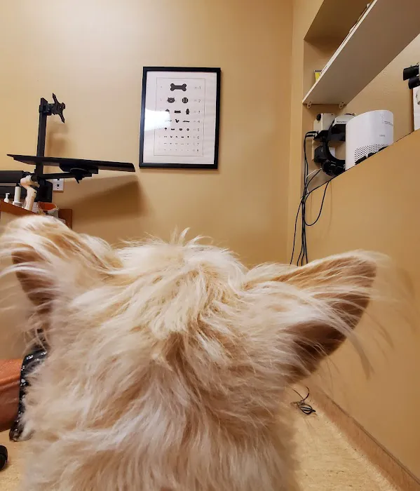 Eye Care for Animals - Tampa Picture 10