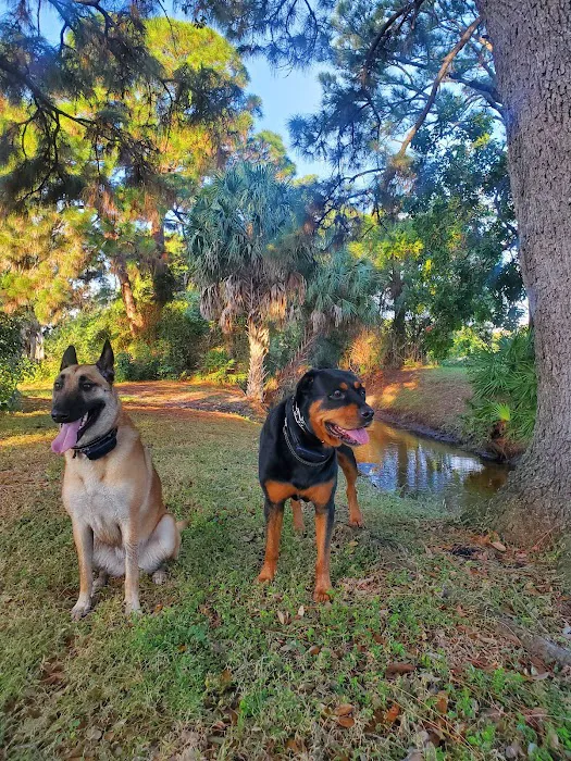 South Tampa Veterinary Care Picture 6