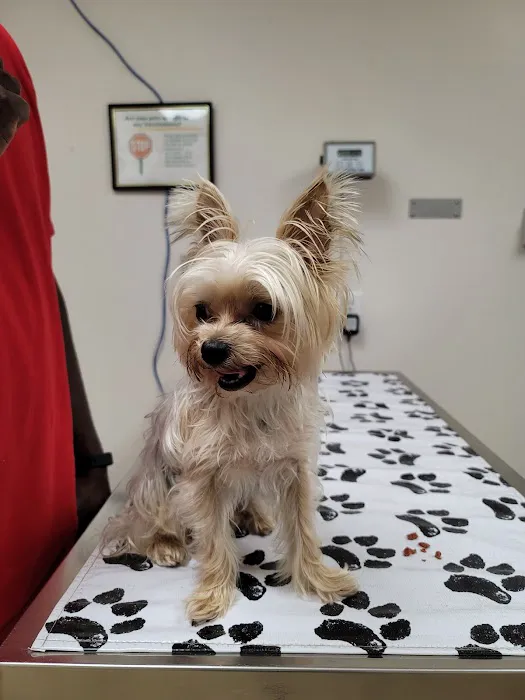 MacDill Veterinarian Treatment Facility Picture 1
