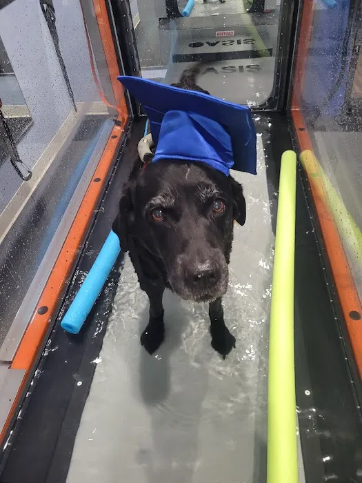 Florida Veterinary Rehabilitation and Sports Medicine Picture 6