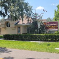 Connechusett Animal Hospital ico