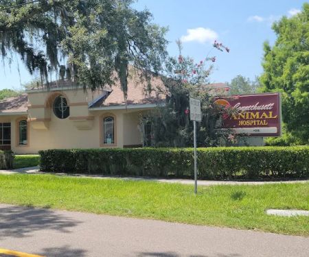 Connechusett Animal Hospital