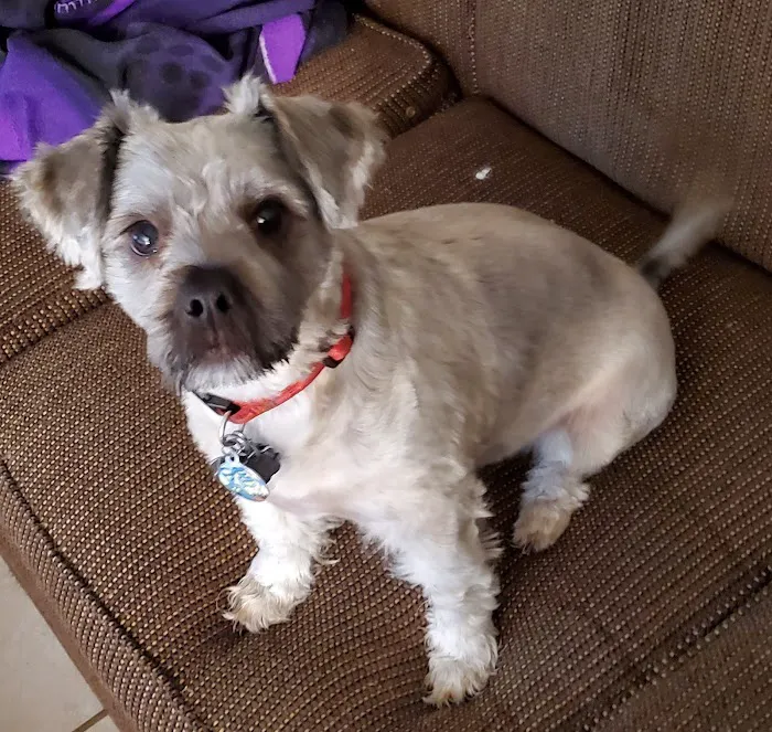 Connechusett Animal Hospital Picture 5
