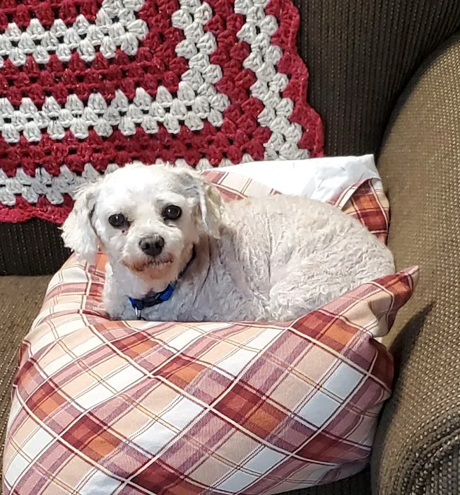 Connechusett Animal Hospital Picture 6