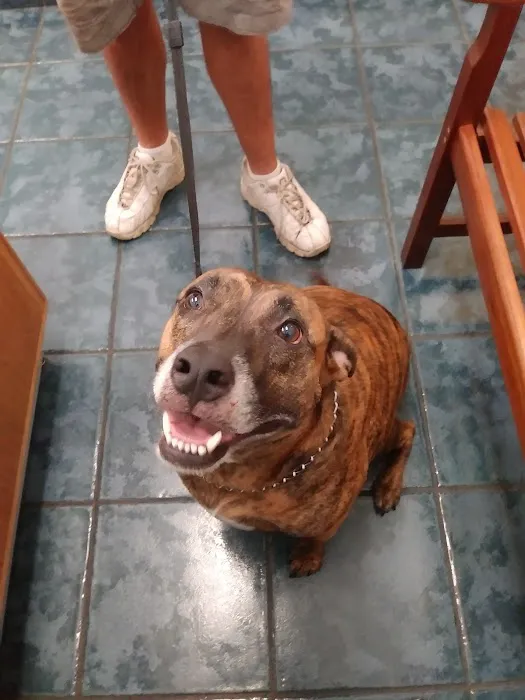 Connechusett Animal Hospital Picture 9