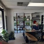 Safari Animal Cinic and LASER Center