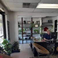 Safari Animal Cinic and LASER Center ico