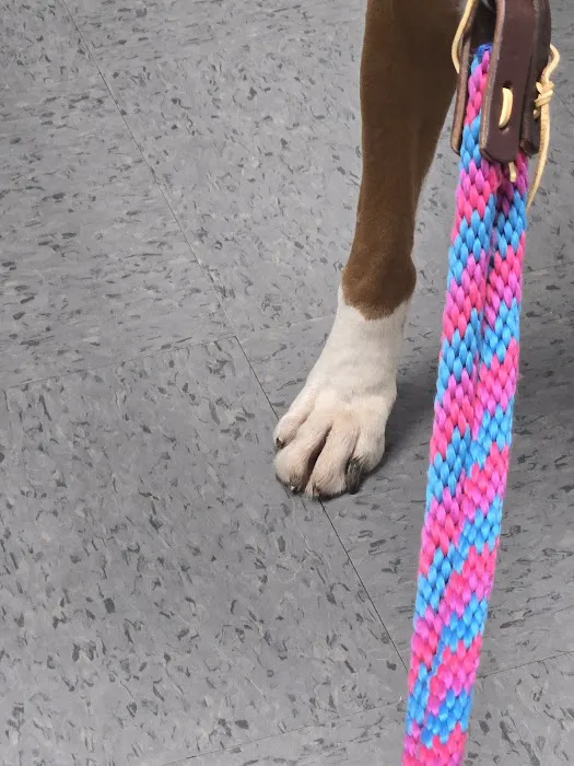 4 Paws Animal Hospital Picture 7