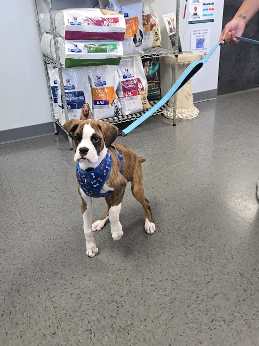 4 Paws Animal Hospital Picture 10