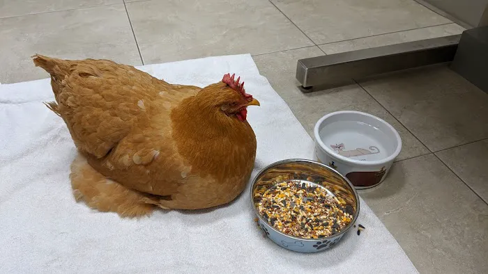 Livingston Animal & Avian Hospital Picture 2