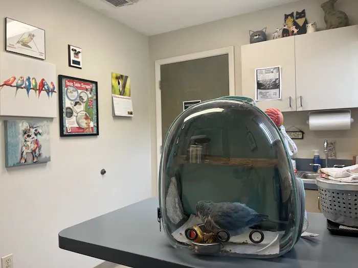 Livingston Animal & Avian Hospital Picture 7