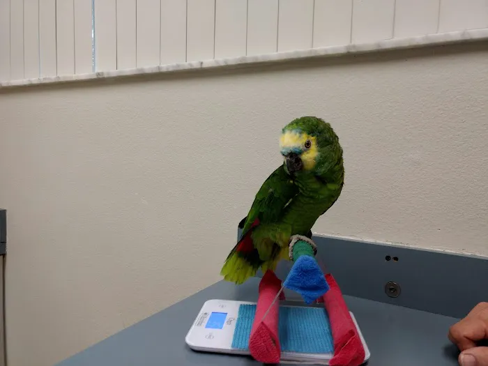 Livingston Animal & Avian Hospital Picture 9