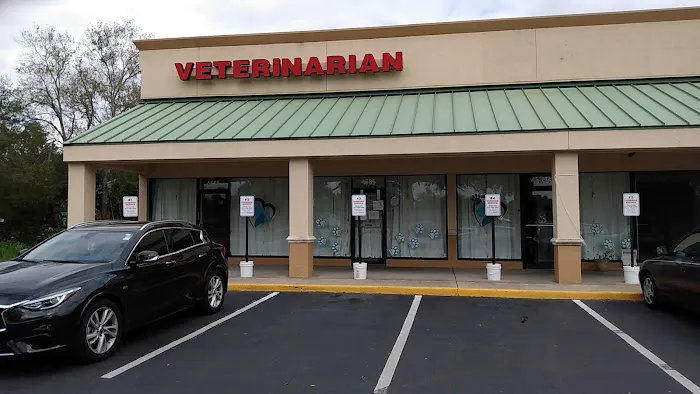 Plantation Animal Hospital of Tampa Picture 1