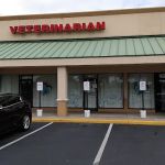 Plantation Animal Hospital of Tampa