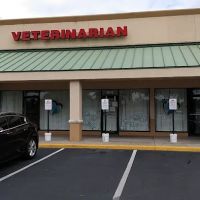 Plantation Animal Hospital of Tampa ico