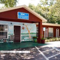 VCA Carrollwood Cat Hospital ico