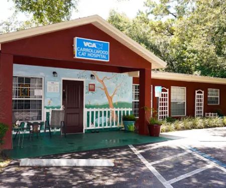 VCA Carrollwood Cat Hospital
