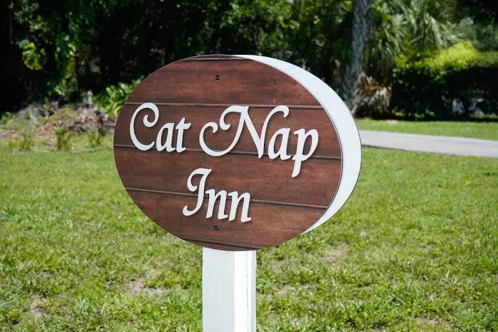 VCA Carrollwood Cat Hospital Picture 8