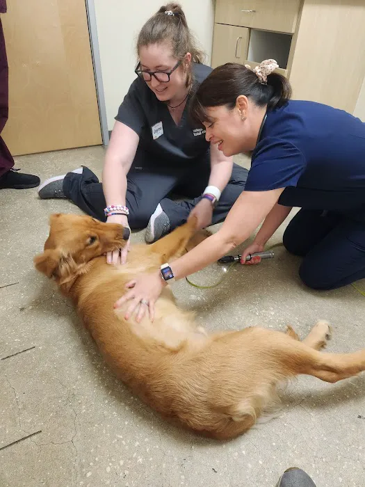 Vetco Total Care Animal Hospital Picture 7