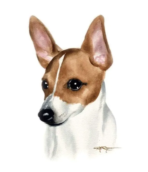 Banfield Pet Hospital Picture 7