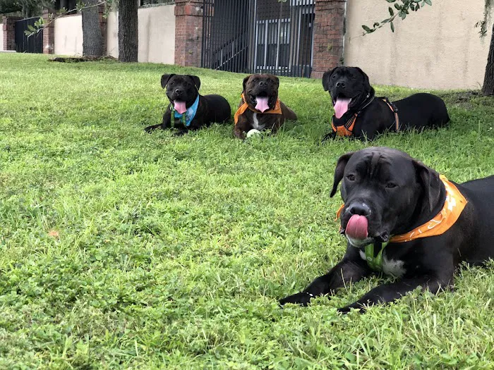 Banfield Pet Hospital Picture 9