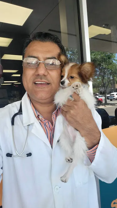 Mobile Pet Hospital Picture 10