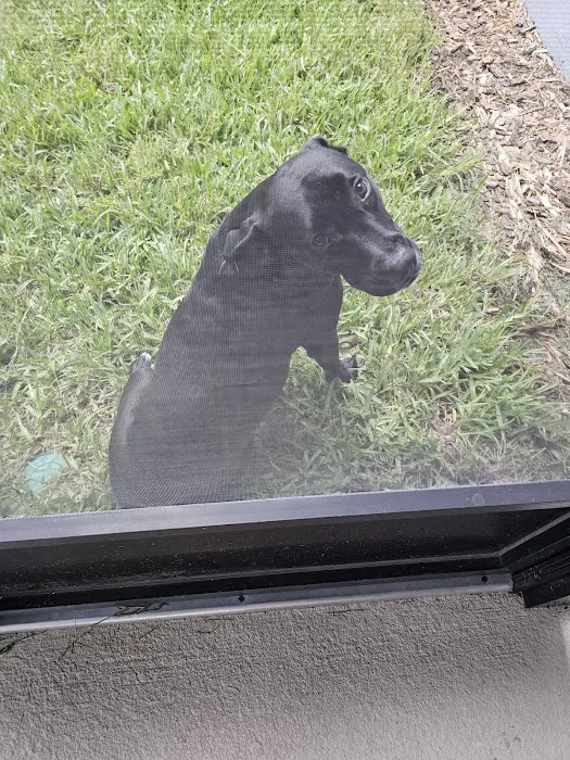 Mobile Pet Hospital Picture 9