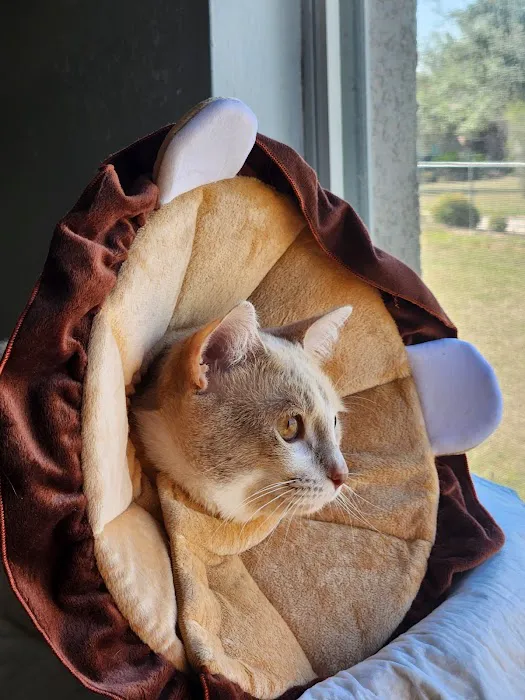 Companion Pet Hospital Picture 2