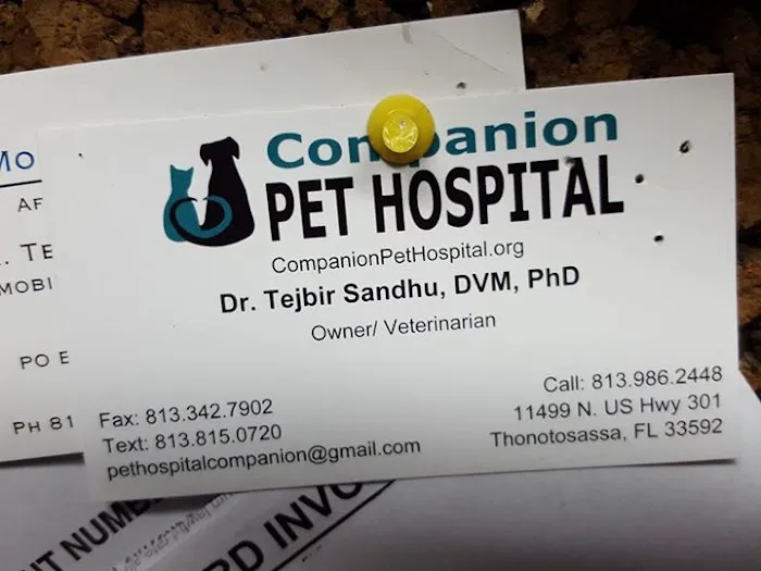 Companion Pet Hospital Picture 1