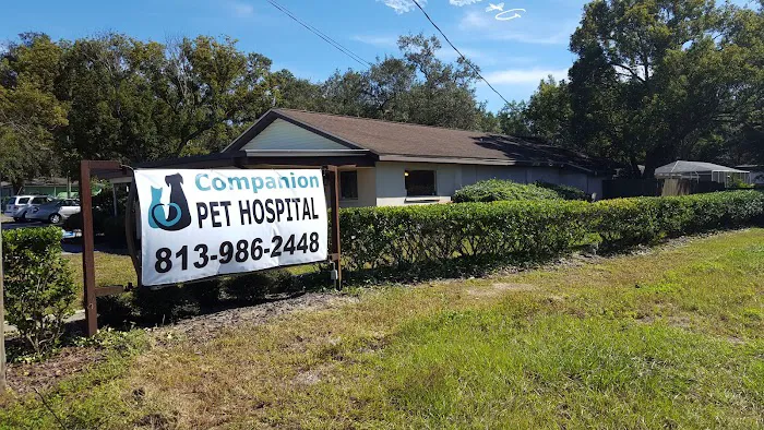 Companion Pet Hospital Picture 3