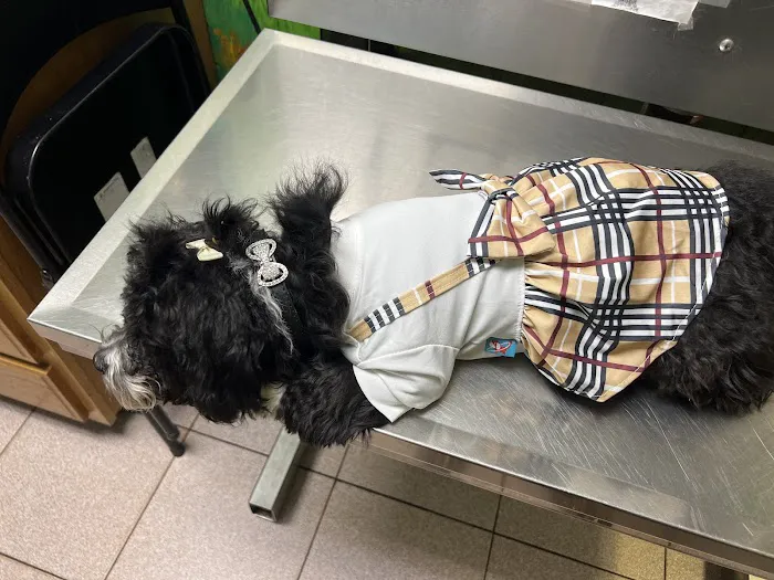 Companion Pet Hospital Picture 5