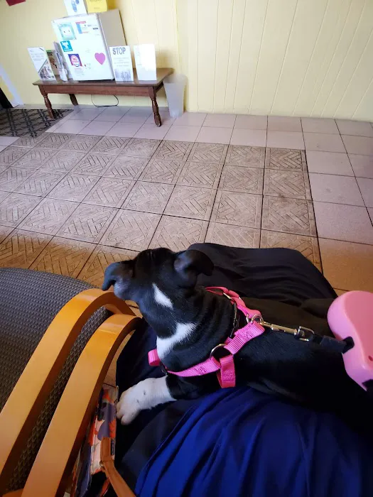 Companion Pet Hospital Picture 6