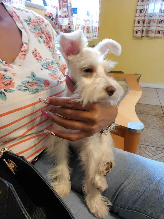 Companion Pet Hospital Picture 9