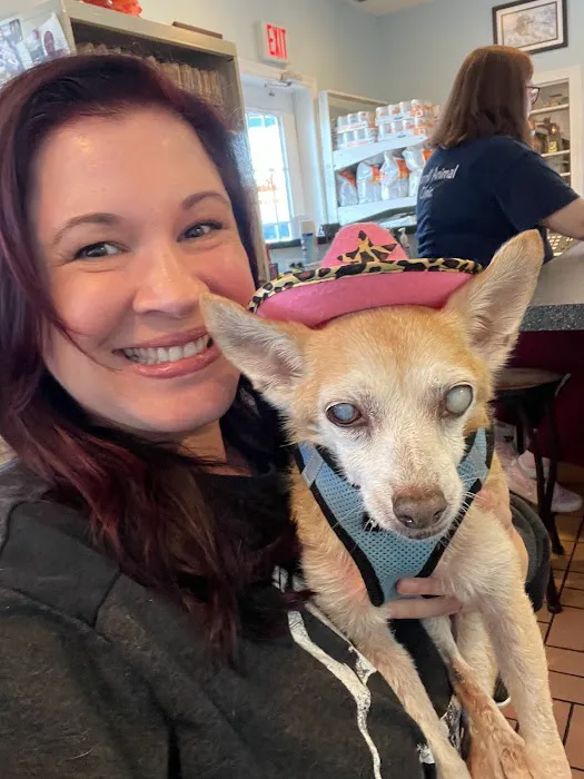 Merrill Animal Clinic Picture 2