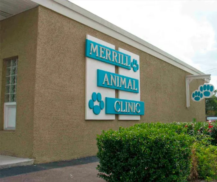 Merrill Animal Clinic Picture 5