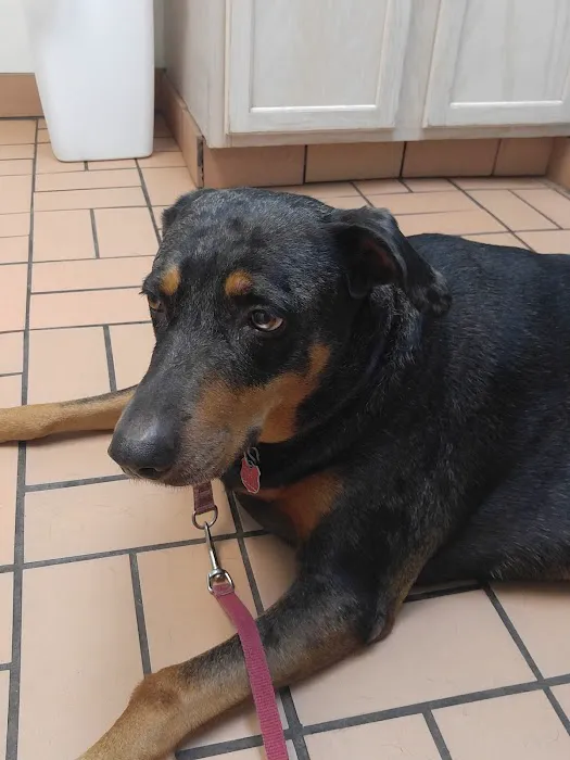 Merrill Animal Clinic Picture 7