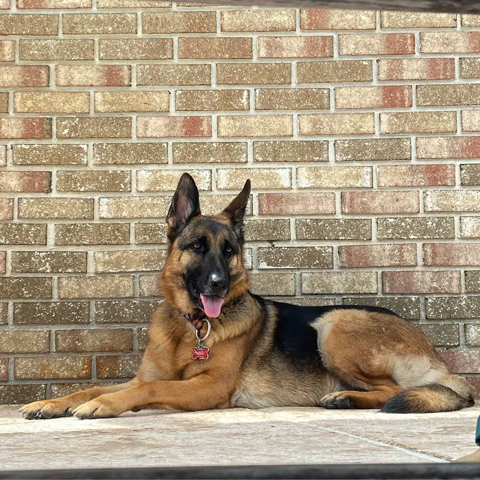 Fort Caroline Animal Clinic Picture 2