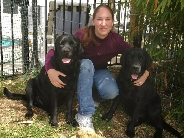 Fort Caroline Animal Clinic Picture 5