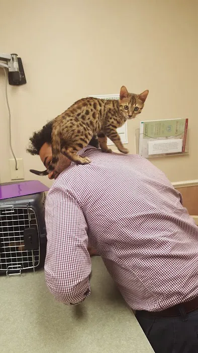 Fort Caroline Animal Clinic Picture 6