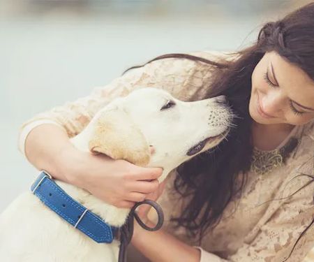 Dames Point Animal Hospital
