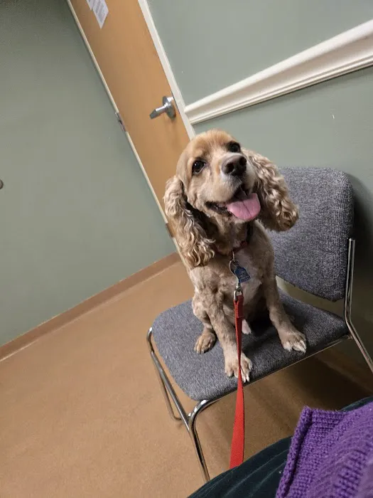 Dames Point Animal Hospital Picture 2