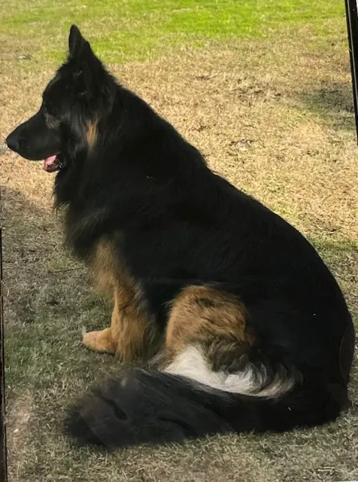 Dames Point Animal Hospital Picture 5