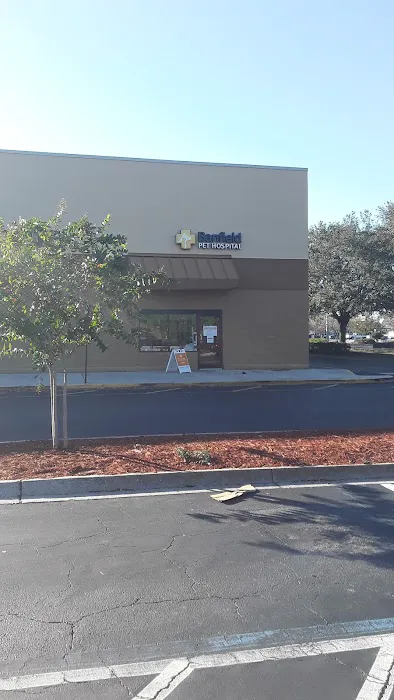 Banfield Pet Hospital Picture 10