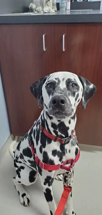 Monument Road Animal Hospital Picture 4