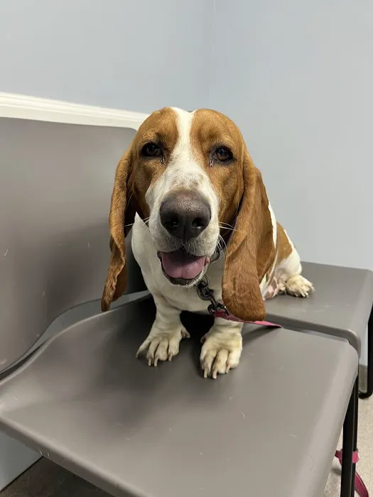 Monument Road Animal Hospital Picture 2