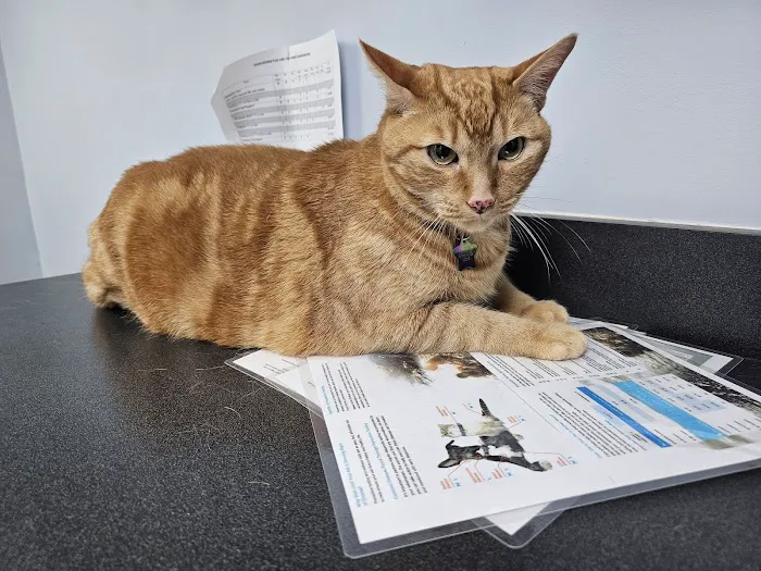 Monument Road Animal Hospital Picture 9