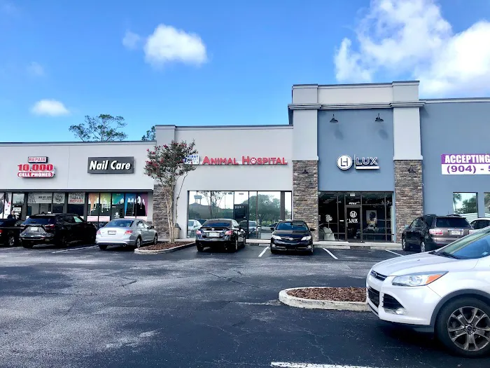 First Coast Vets Affordable Animal Hospital Picture 8