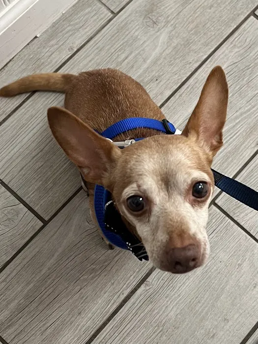 Northside Animal Hospital Picture 5