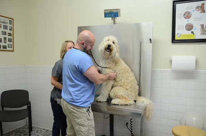 Northside Animal Hospital Picture 10