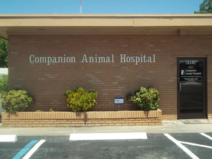 Animal Eye Clinic Picture 5